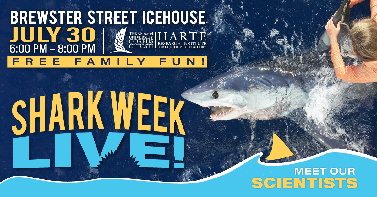 Watch Shark Week Live with HRI Researchers July 30 at Brewster Street