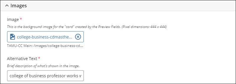 Image entry fields for the Preview component