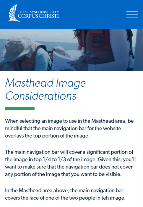 Image display in the Masthead component in mobile view