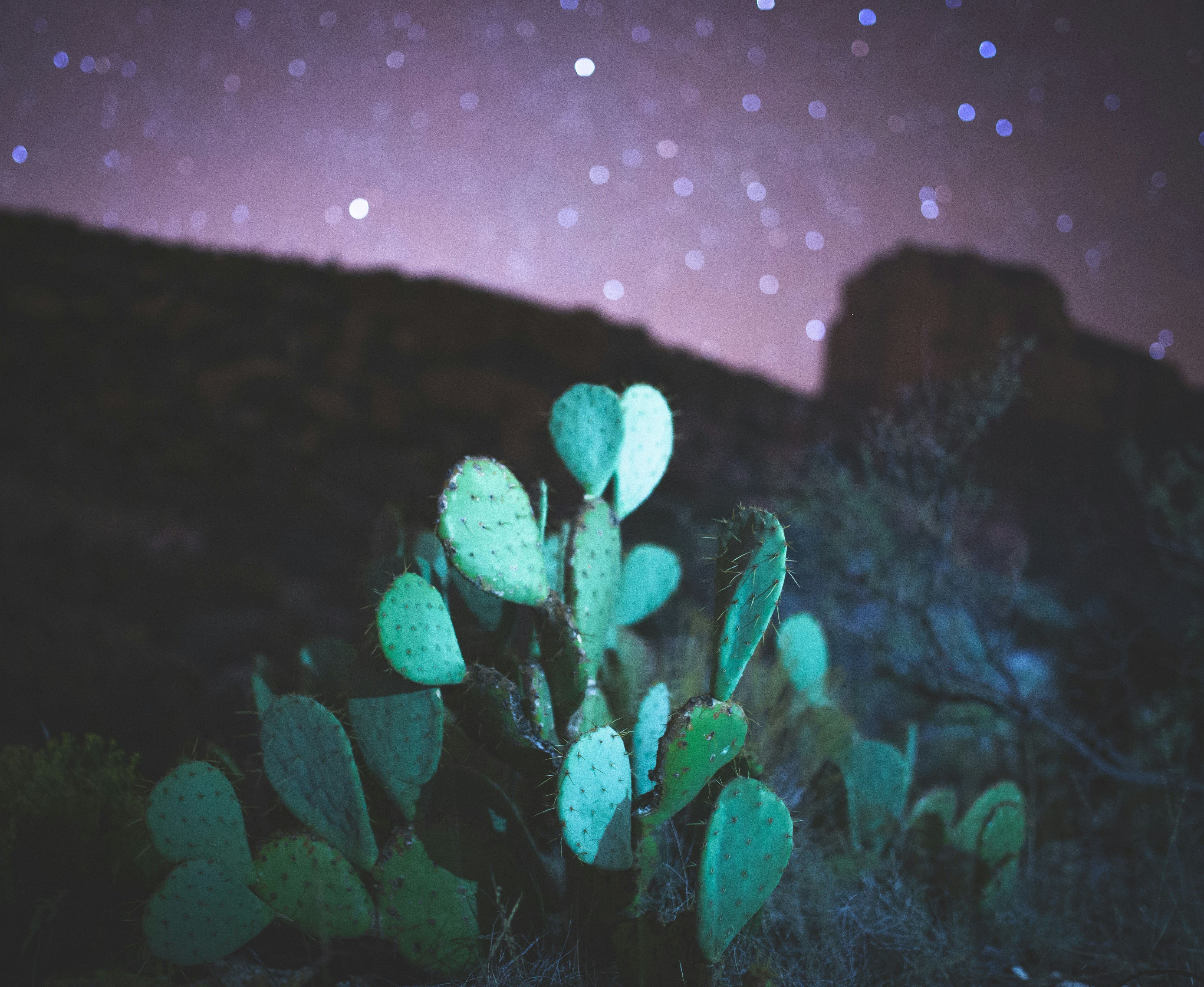 Guadalupe Mountains -leonardo-corral-2020