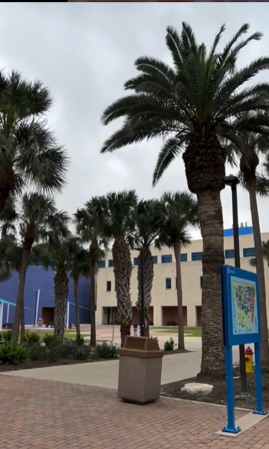 dustin-marley-hackfeld-background-palm-trees-tamucc