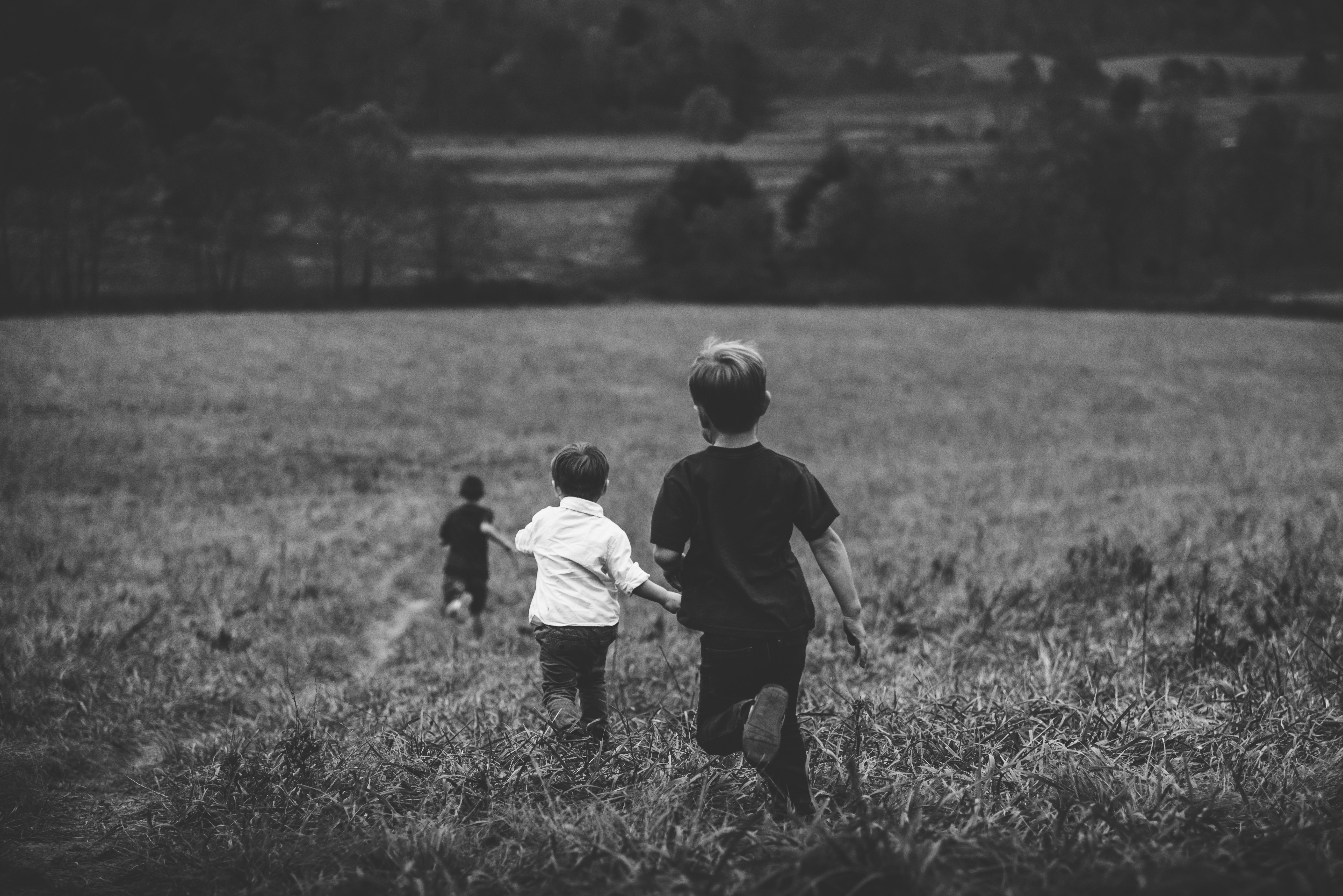 kids running through field stock