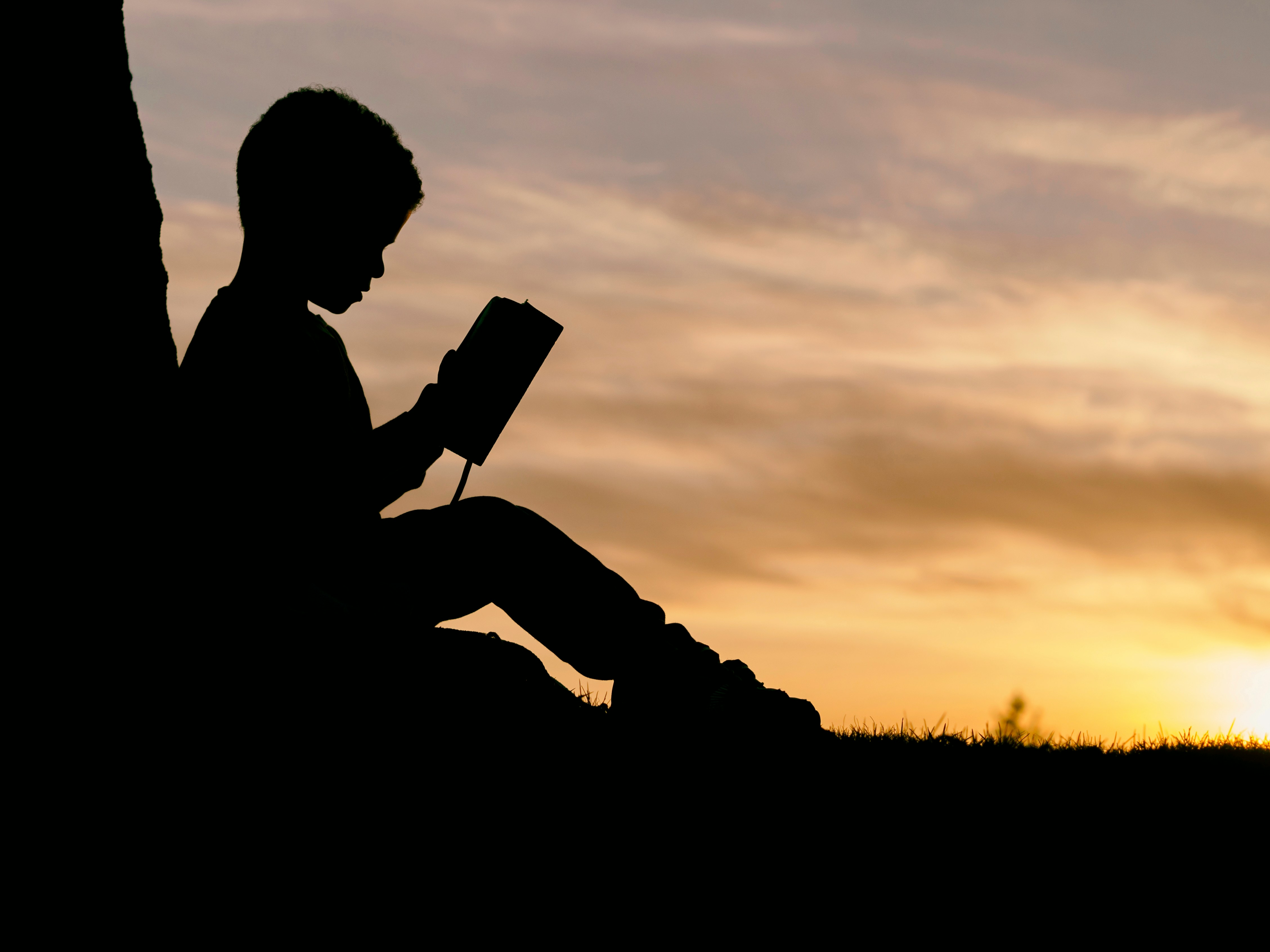 Reading Under a Tree Sunshine stock