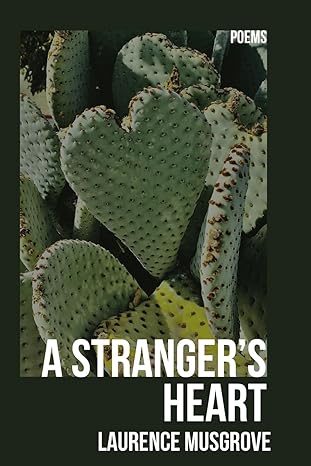 A Stranger's Heart book cover