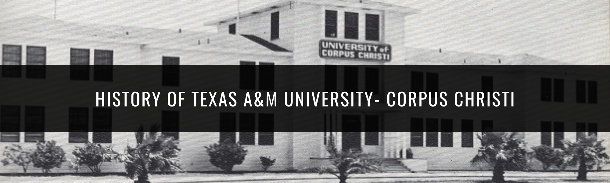 Texas A&M University- Corpus Christi History