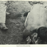 A man wrestling a greased pig. 
