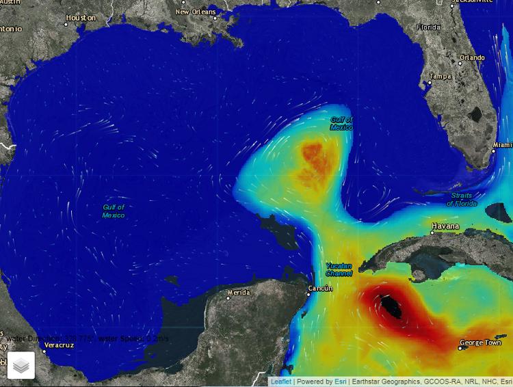 HRI Lands $153K Grant for Gulf of Mexico Loop Current System Database Management System
