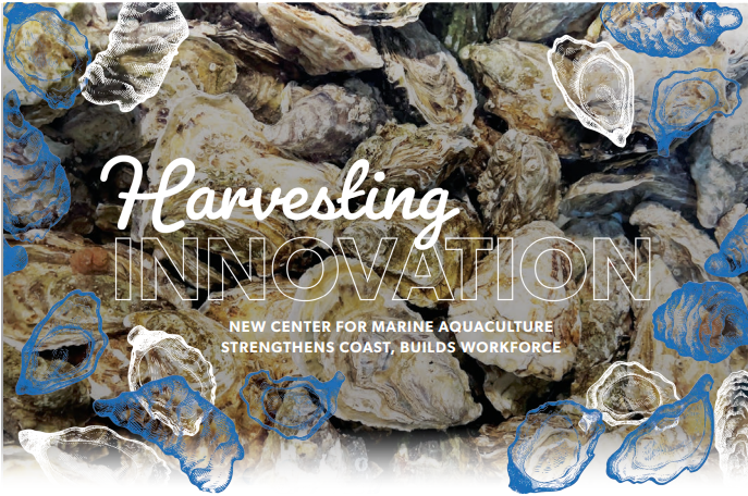 Photo+of+oysters+with+story+title+in+front+of+the+photo.