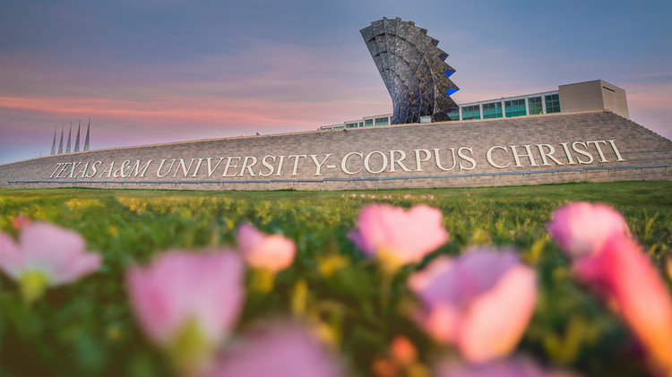Texas+A%26M+University+Corpus+Christi
