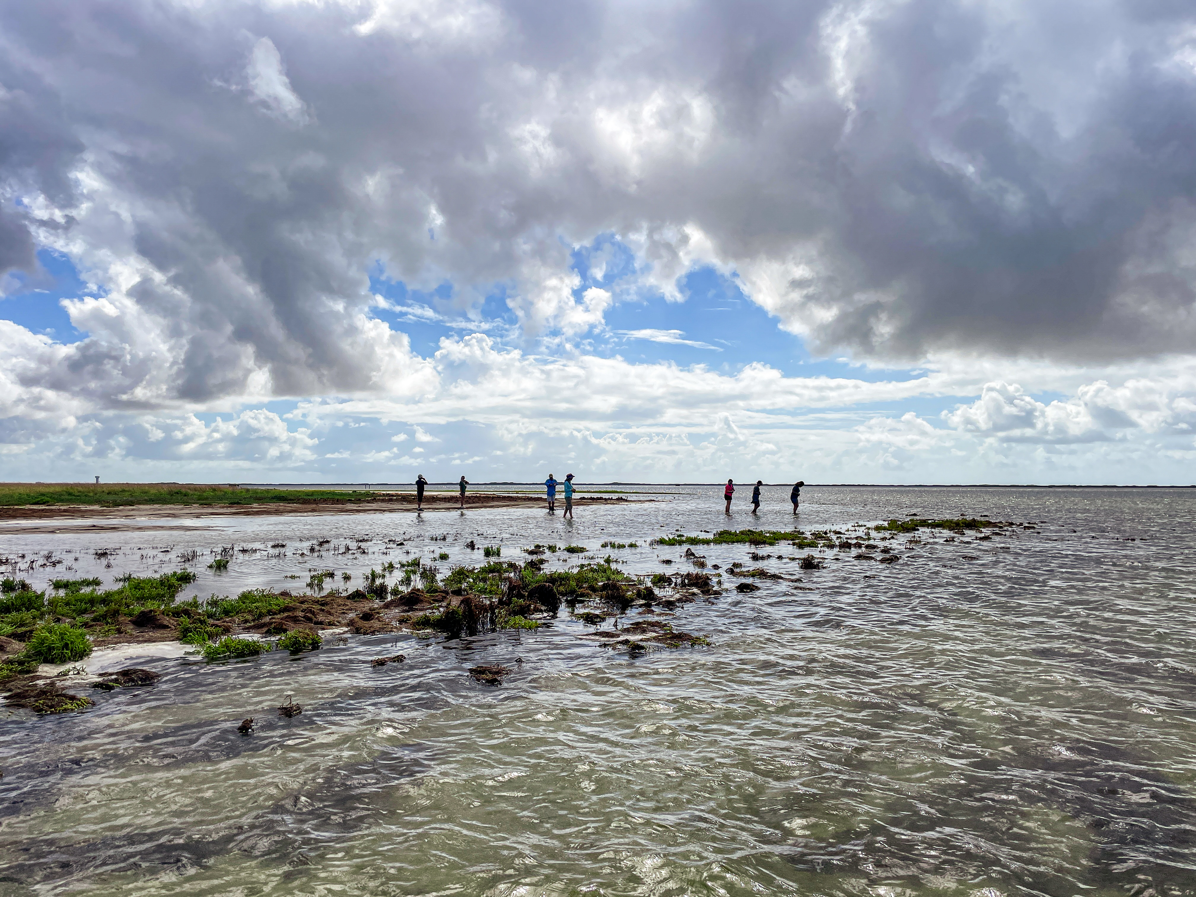 Education &amp; Outreach at the Field Station