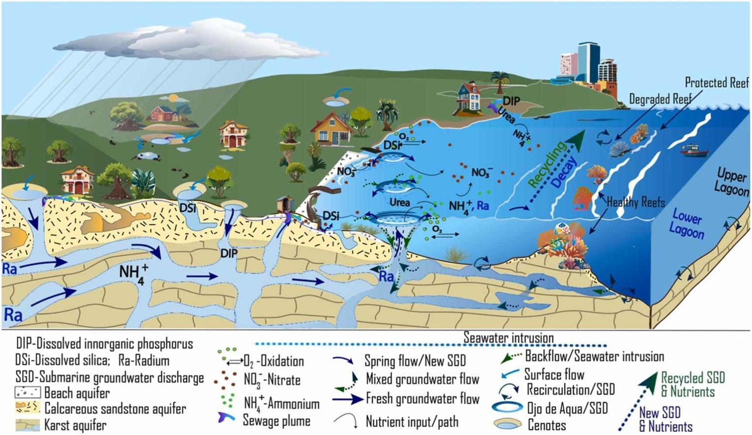 Graphical abstract for "Influence of submarine groundwater discharge on the nutrient dynamics of a fringing-reef lagoon"