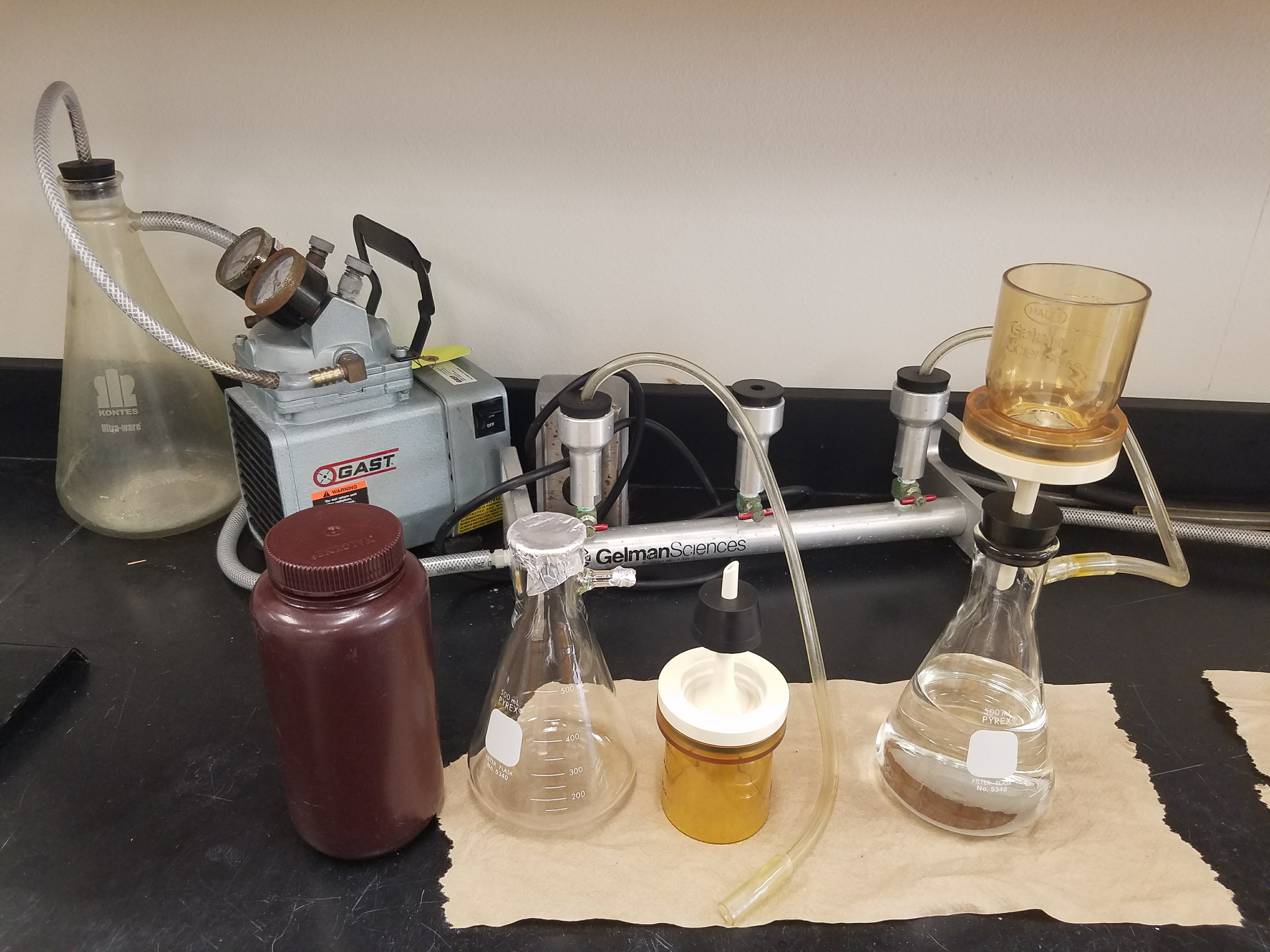 Vacuum filtering setup for nutrient samples